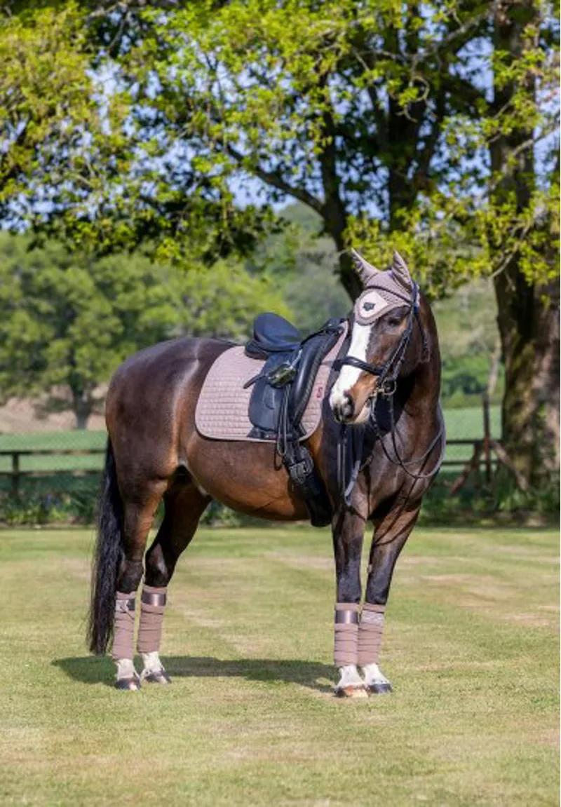 LeMieux ProSport Suede Dressage Square - Mink-1